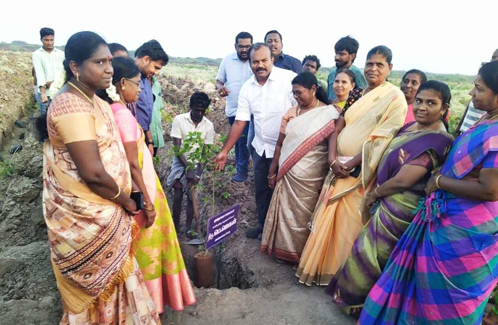 தூத்துக்குடியில் முதல்வர் ஸ்டாலின் பிறந்தநாளையொட்டி 71 ஆயிரம் மரக்கன்று நடும் பணியை மேயர் ஜெகன் ெபாியசாமி தொடங்கி வைத்தார் தூத்துக்குடியில் முதல்வர் ஸ்டாலின் பிறந்தநாளையொட்டி 71 ஆயிரம் மரக்கன்று நடும் பணியை மேயர் ஜெகன் ெபாியசாமி தொடங்கி வைத்தார்