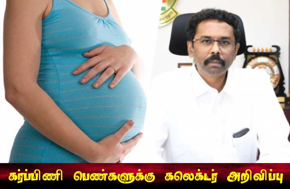கர்ப்பிணி பெண்கள் தாங்களாகவே சுயமாக பிக்மி இணையதள வழியில் கர்ப்ப பதிவு எண் பெறலாம்- தூத்துக்குடி மாவட்ட கலெக்டர் லட்சுமிபதி தகவல்