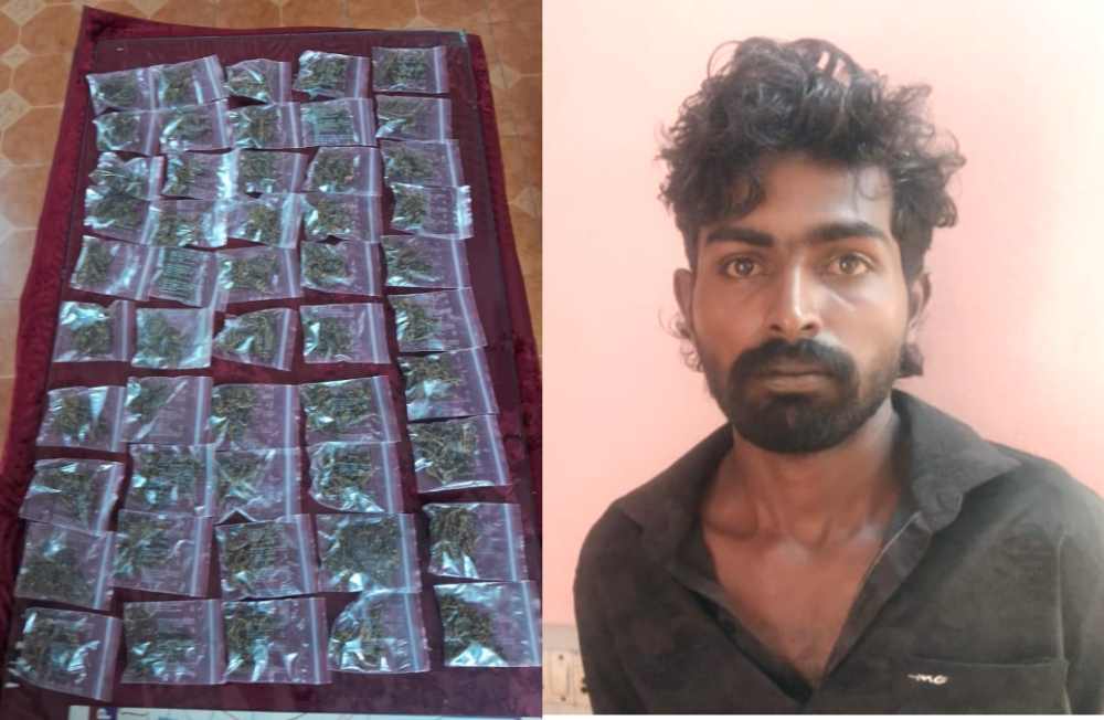 கோவில்பட்டியில் கஞ்சா விற்பனை செய்த இளைஞர் கைது – 250கிராம் கஞ்சா பறிமுதல் கோவில்பட்டியில் கஞ்சா விற்பனை செய்த இளைஞர் கைது – 250கிராம் கஞ்சா பறிமுதல்