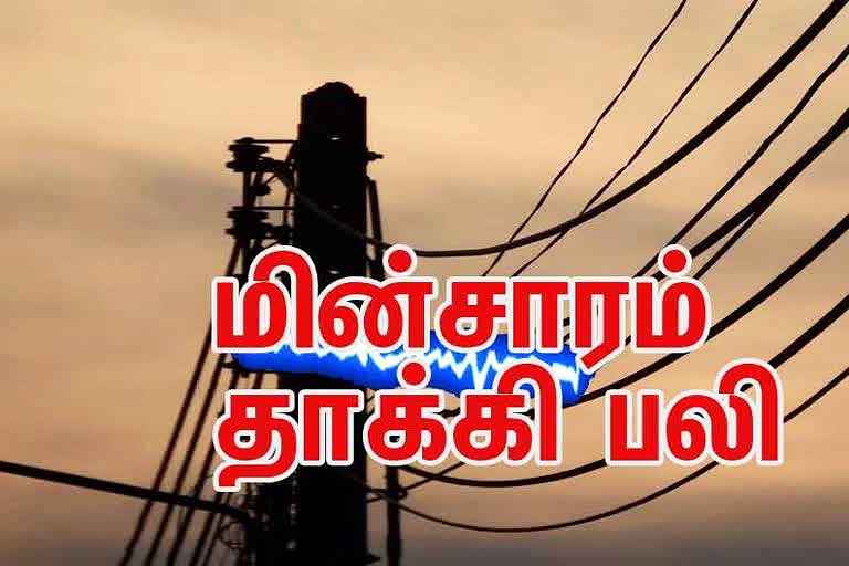 சாத்தான்குளம் அருகே மின்சாரம் தாக்கி தூத்துக்குடியை சேர்ந்த மின்வாரிய ஊழியர் உயிரிழப்பு சாத்தான்குளம் அருகே மின்சாரம் தாக்கி தூத்துக்குடியை சேர்ந்த மின்வாரிய ஊழியர் உயிரிழப்பு