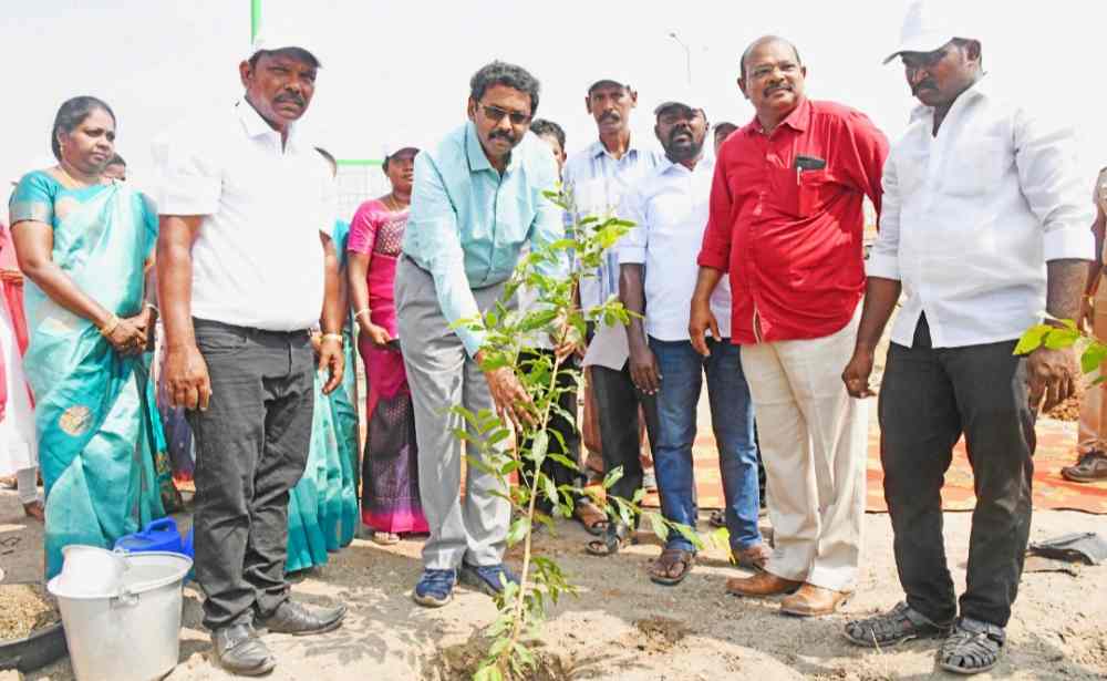 உலக மகளிர் தின விழா- ஒரு லட்சம் மரக்கன்றுகள் நடும் பணியை கலெக்டர் லட்சுமிபதி தொடங்கி வைத்தார் உலக மகளிர் தின விழா- ஒரு லட்சம் மரக்கன்றுகள் நடும் பணியை கலெக்டர் லட்சுமிபதி தொடங்கி வைத்தார்