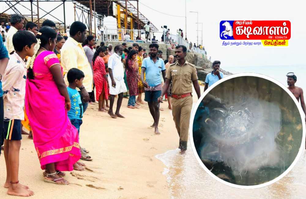 திருச்செந்தூர் கோயில் கடற்கரையில் கரை ஒதிங்கியுள்ள ஜெல்லி மீன்களால் பக்தர்களுக்கு மிகப்பெரிய அச்சுறுத்தல் இல்லை – மீன்வளத்துறை இன்ஸ்பெக்டர் சுப்பிரமணியன் தகவல்