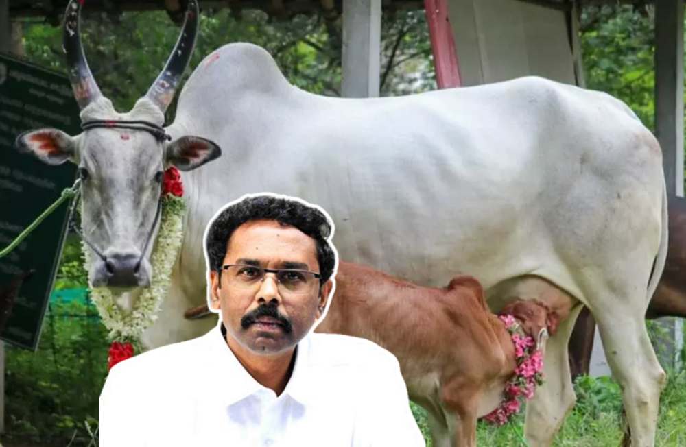 கோடை வெப்பத்திலிருந்து கால்நடைகளைப் பாதுகாக்க மேற்கொள்ள வேண்டிய பராமரிப்பு முறைகள் என்னென்ன.?.- மாவட்ட ஆட்சித்தலைவர் லட்சுமிபதி விளக்கம்