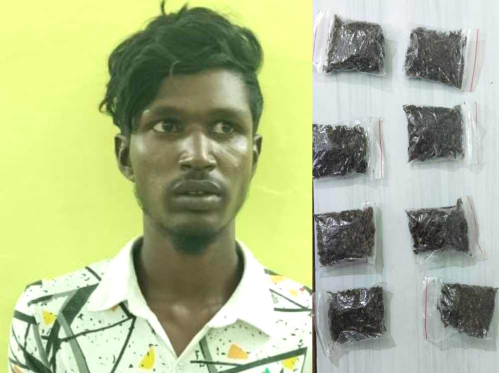 விற்பனைக்காக கஞ்சா வைத்திருந்த 2 பேர் கைது – கஞ்சா மற்றும் 2 இருசக்கர வாகனங்கள் பறிமுதல் விற்பனைக்காக கஞ்சா வைத்திருந்த 2 பேர் கைது – கஞ்சா மற்றும் 2 இருசக்கர வாகனங்கள் பறிமுதல்